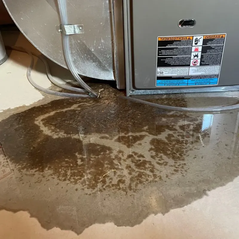 Pipe Burst and Leak Restoration in Mohnton, PA