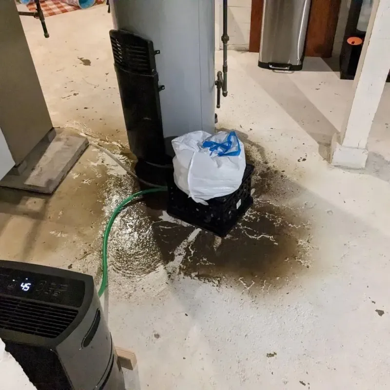 Sewage Backup Cleanup Service in Mohnton, PA